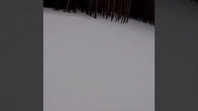 17 марта 2018 г. смотреть онлайн
