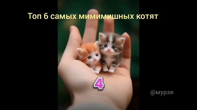 все котята про которых я снимал!!!!! ??? смотреть онлайн