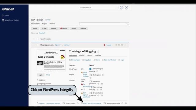 How to check WordPress core files in WordPress using WordPress Toolkit смотреть онлайн