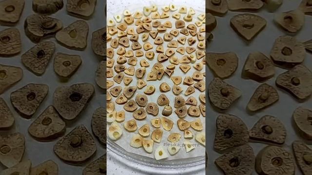 спасаем чеснок, который портится смотреть онлайн