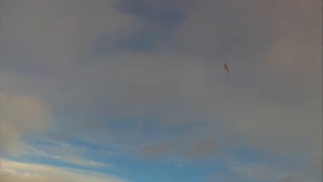 F2D Electro смотреть онлайн