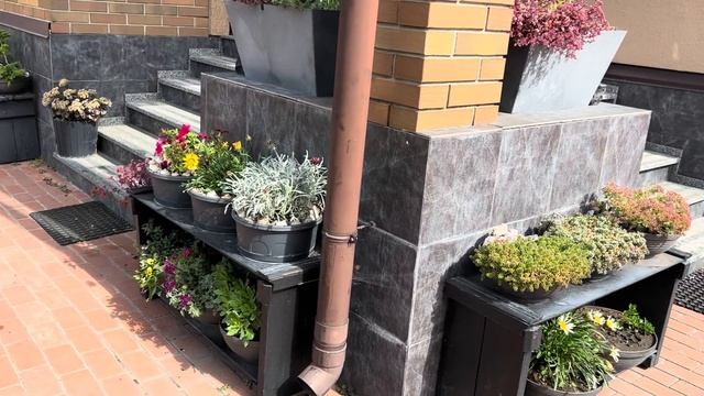 БЫЛО-СТАЛО: НАВОДИМ ПОРЯДОК НА НЕБОЛЬШОМ УЧАСТКЕ С ДЕКОРАТИВНЫМИ РАСТЕНИЯМИ И В УЛИЧНЫХ ВАЗОНАХ! смотреть онлайн