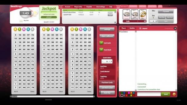 Bingo Game Rules in 3 min | SmartCasinoGuide.com