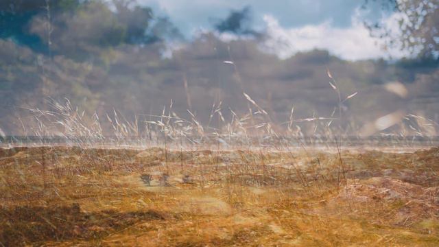 Trio Sonata for two violins and basso continuo in C-dur BWV 1037 - Johann Sebastian Bach смотреть онлайн