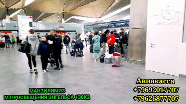 02.05.2023 САНКТ-ПЕТЕРБУРГ‼️ ПУЛКОВО ЯНГИЛИКЛАРИ🇷🇺🇺🇿 #aviasurhon #short #shortsyoutube #aviasurhon