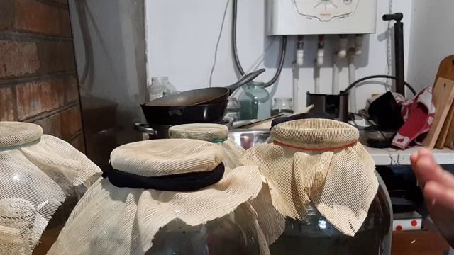 КАК ХРАНИТЬ ПИЯВОК В ДОМАШНИХ УСЛОВИЯХ смотреть онлайн