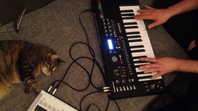 sascha schwartz - nightcrawler (ambient with analog keys) смотреть онлайн