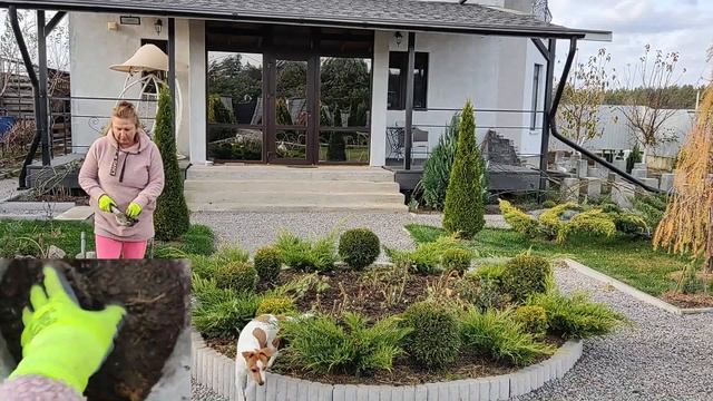 САМОЕ ЛУЧШЕЕ УДОБРЕНИЕ ДЛЯ РОЗ | Чем удобрить розы осенью смотреть онлайн