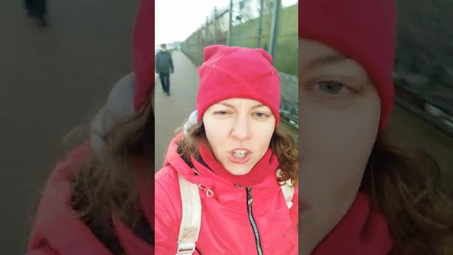 В субботу работаем с Родом все вместе онлайн! смотреть онлайн