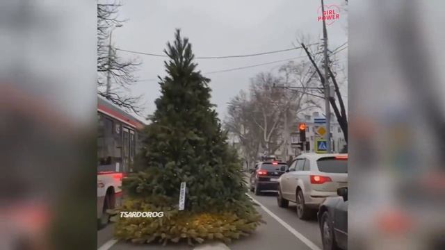 ЛУЧШИЕ АВТО ПРИКОЛЫ 2022 ? РУССКИЕ ПРИКОЛЮХИ С ДОРОГ_10 МИНУТ ПРИКОЛОВ_РЖАЧ ДО СЛЕЗ #12.mp4 смотреть онлайн