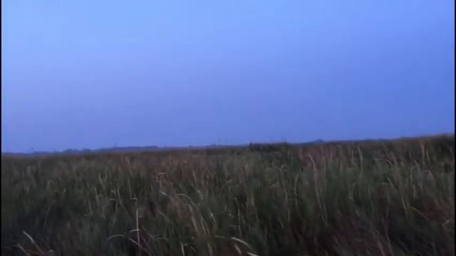 Утренняя охота на утку Алтай Команда 89 смотреть онлайн