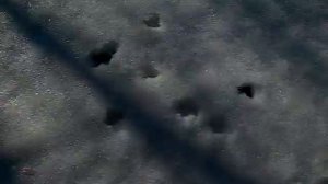 Испытание чиби Годзилла 2014