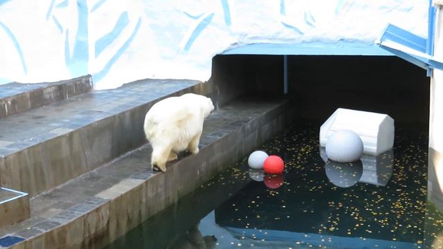 Герда продолжает вырабатывать свою походку 09.10.2021 смотреть онлайн