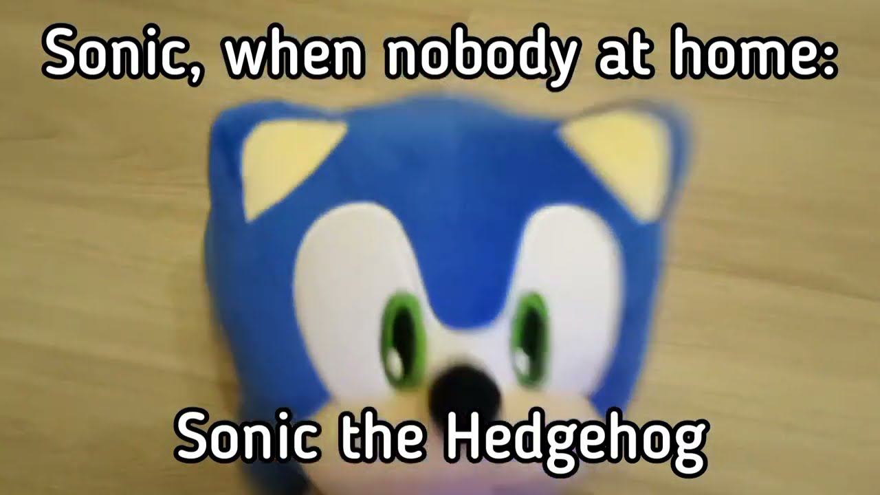 Sonic, when nobody at home: (sing The Fastest Thing Alive) Original video is in description. смотреть онлайн