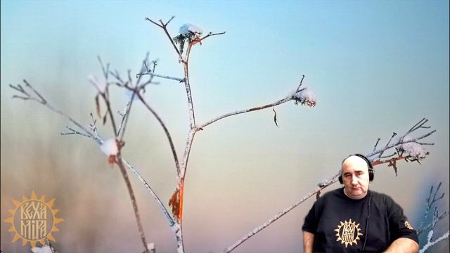 Механизм собирания опыта всех миров смотреть онлайн