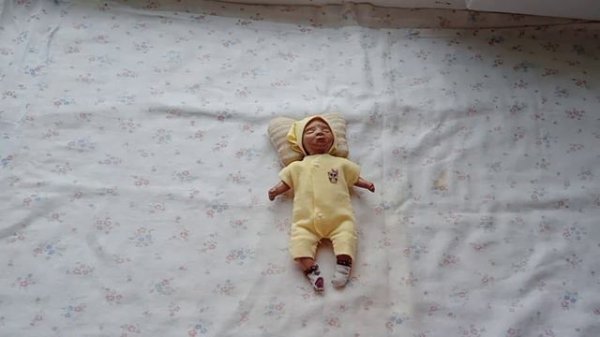 Влог с мини реборном