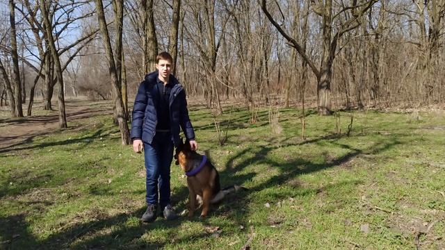 Моя история. | Как я увлекся собаководством. | Как у меня появилась собака. | Немецкая овчарка Рема смотреть онлайн