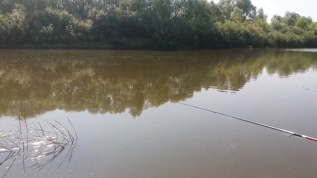 Поплавочная ловля. Пробуем) смотреть онлайн