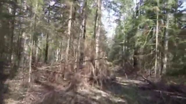 толкач с колесным модулем по лесу смотреть онлайн