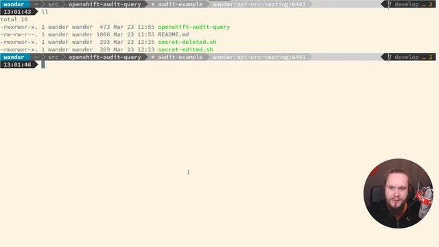 OpenShift API Audit Logging Queries - Tutorial HCS Company смотреть онлайн
