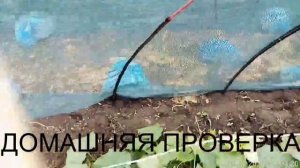 Притеняющая сетка. Шпалеры для огурцов.