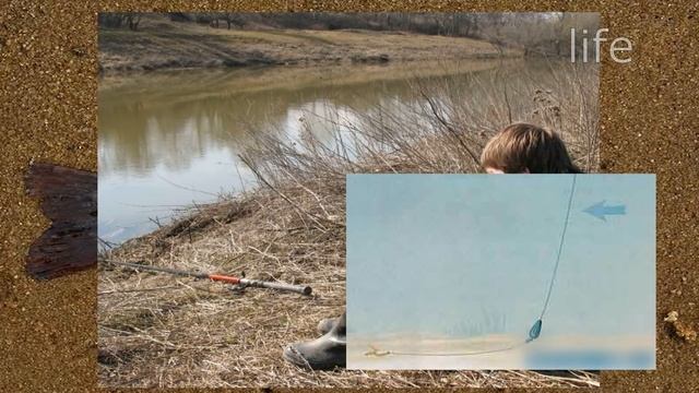 Как ловить карася в марте начале апреля на поплавочную удочку по открытой воде? смотреть онлайн