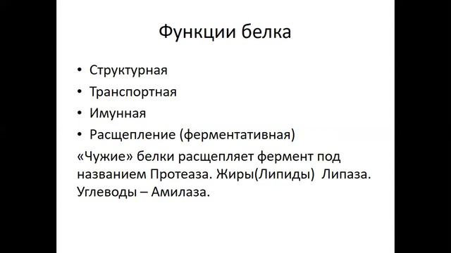 Белки- источник жизни! Что такое коллаген и эластин? Почему так важна их поль для нашего здоровья?