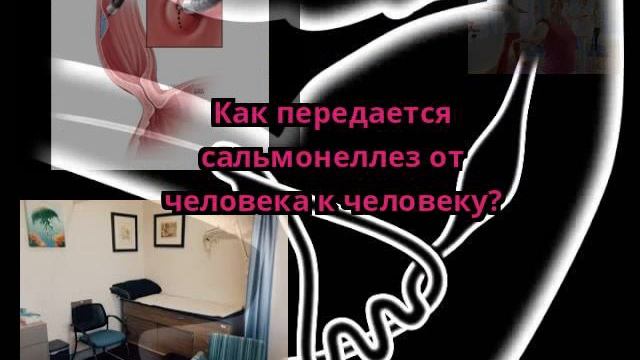 Как передается сальмонеллез от человека к человеку?