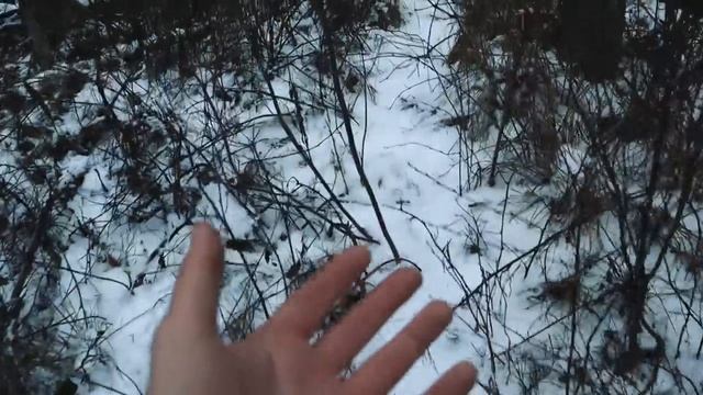Реально снял ЛЕШЕГО в жутком ЛЕСУ! Но оказалось, что Леший это... смотреть онлайн