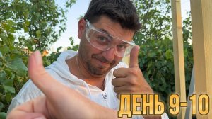 Строим дачу, возводим стены