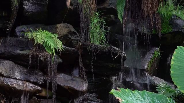 [8 часов] Звук ручья, шум воды. [The sound of the stream] смотреть онлайн