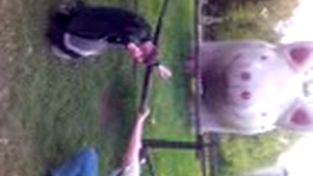 свинья смотреть онлайн