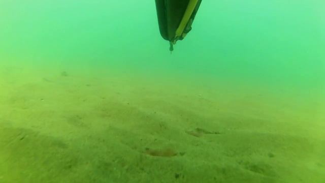 Ловля рапанов в Черном море смотреть онлайн