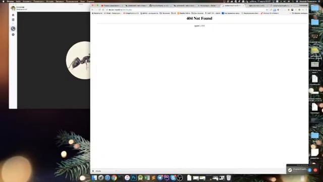 Разворачиваем проект на docker смотреть онлайн