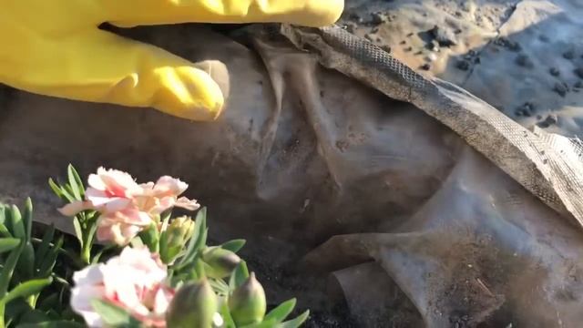 Альпийская горка с водопадом своими руками ? Часть 1 смотреть онлайн