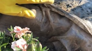 Альпийская горка с водопадом своими руками ? Часть 1