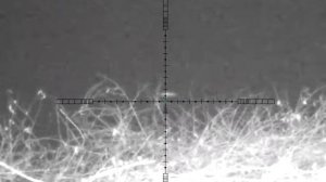 Охота на бобра ночная!Калибр.223 Пульсар Ультра-455 LRF.  13 ноября 2021 г.