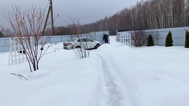 Жизнь на даче: Запаслись дровами. Что происходит с рассадой . Прогулка. смотреть онлайн