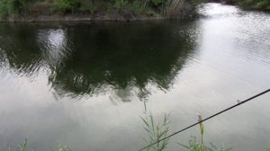 TsuYoki zanoza в модифицированном варианте.