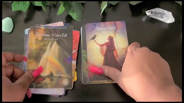 The Sacred Forest Oracle - Unboxing & Review - NEW RELEASE смотреть онлайн