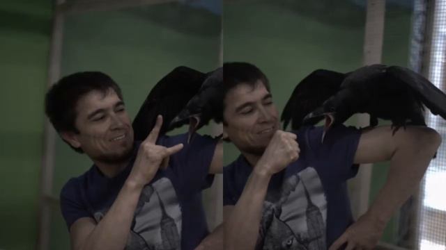 Контактный зоопарк мытищи смотреть онлайн