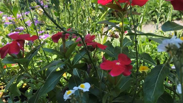 THE ORACLE REPORT | September 16, 2019 - "Glow With The Flow" смотреть онлайн