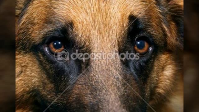 На широкой большой дороге смотреть онлайн
