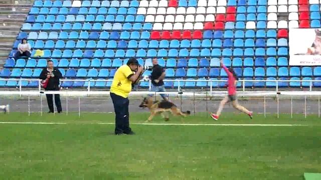 Рабочий класс сук 6 _ Russian Siegerschau 2015