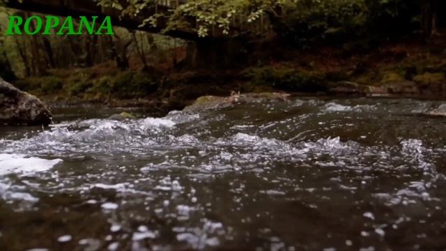 108 HO'OPONOPONO REPETITION WITH 432Hz HEALING MUSIC смотреть онлайн