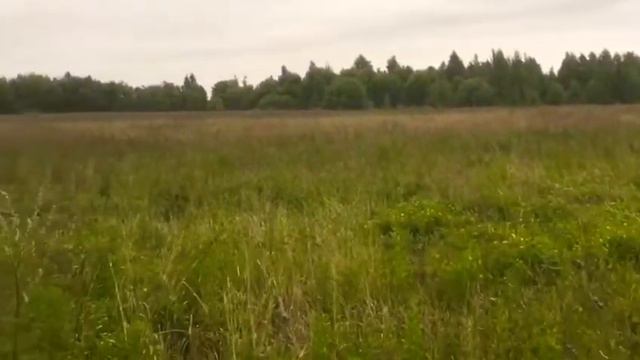 Продам земельный участок под ИЖС. 11 Га. (1100 соток) Староселье. Рыбинск. Ярославская область. смотреть онлайн