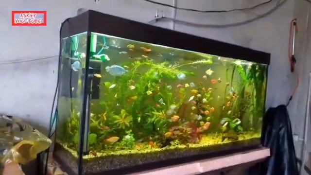#AsKey #Aquaskey  рабочие моменты)))