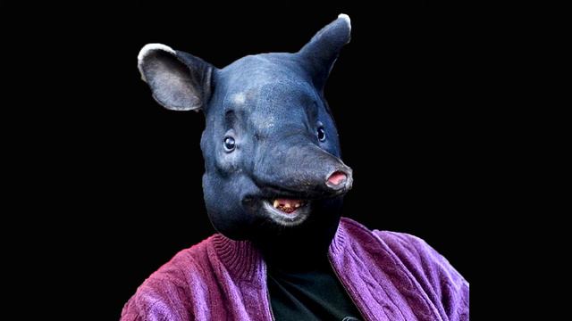 В гостях у Тапира mashup смотреть онлайн