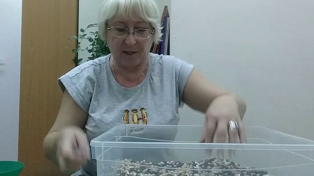 Игра "Волшебный сундучек" смотреть онлайн