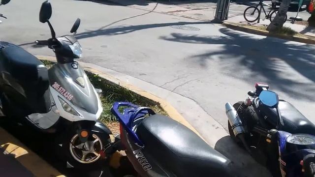 Аренда скутера в майами смотреть онлайн